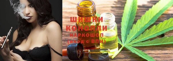 Альфа ПВП Горняк