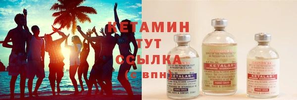 прущие грибы Горно-Алтайск