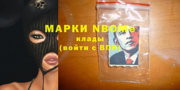 прущие грибы Горно-Алтайск
