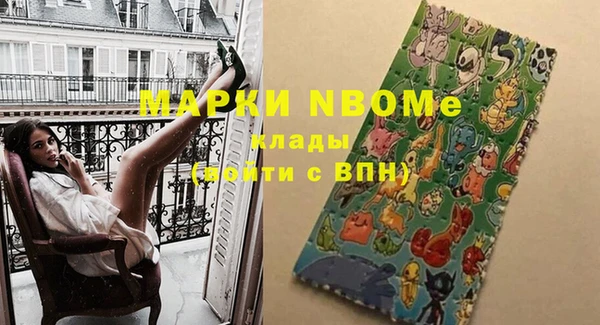 Альфа ПВП Горняк