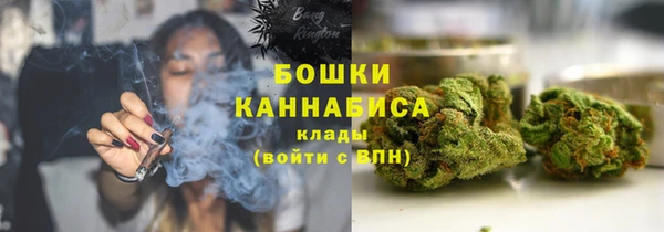 прущие грибы Горно-Алтайск