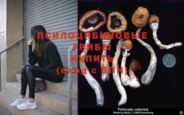 mdma Горнозаводск