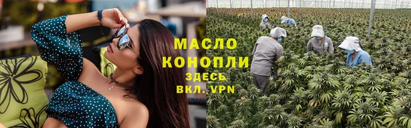 прущие грибы Горно-Алтайск