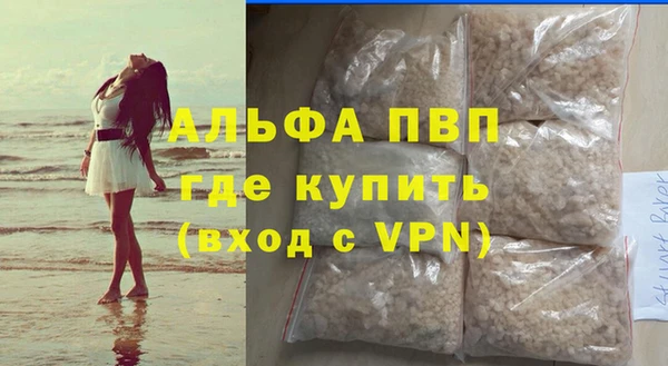 Альфа ПВП Горняк