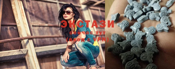 прущие грибы Горно-Алтайск