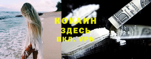 прущие грибы Горно-Алтайск